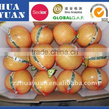 chinese grapefruit honey pomelo