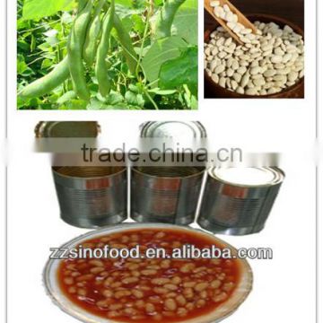Variety of Flavors White Kidney Beans Tins Packing