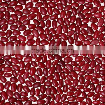 China Origin Best Selling Small Red Kidney Beans