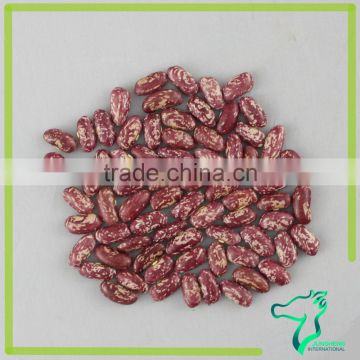 High Quality Red Speckled Kidney Beans For Sale