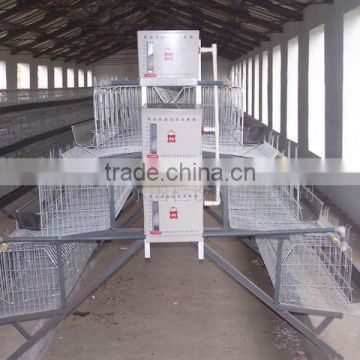 layer poultry cages for nigeria/africa