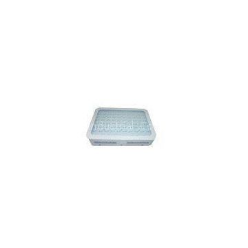 220V 80W Dimmable Hydroponic LED Grow Lights For Greenhouse Culture