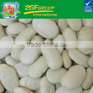 Hot Sale fresh and healthy kidney beans price