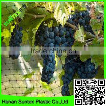 Plastic Extruded Fruit Protection Nettings with different color