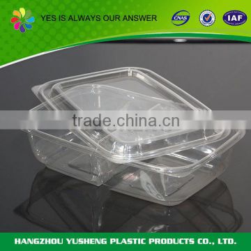 Embossing printing food use plastic rectangular food container with lid