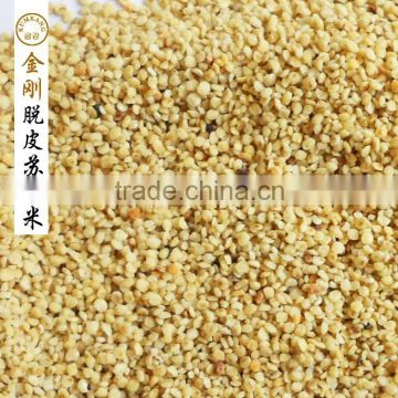 high quality spicy perilla seed powder
