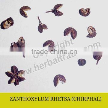 ZANTHOXYLUM RHETSA