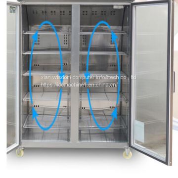 Deep Freezer Double Glazed Doors Versatility