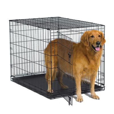 Cage Pour Chien High Quality Cage Pour Chien Dog Cage For Sale Cheap