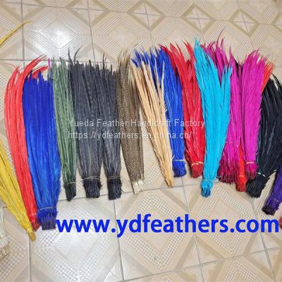 Pheasant Tail Feather For Wholesale From China