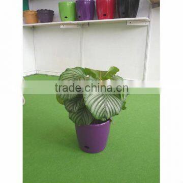 2015 fashion Indoor Plastic Flowerpot for potting