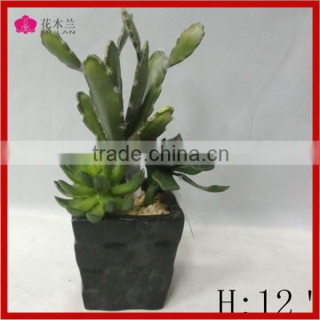 small size 13 inch decorative artificial tropical tree plant