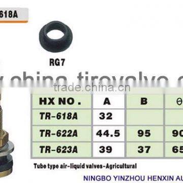 Large bore tubeless valves