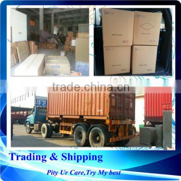 Professional sea freight forwarder shipping container from guangzhou to CASTRIES,ST.Lucia