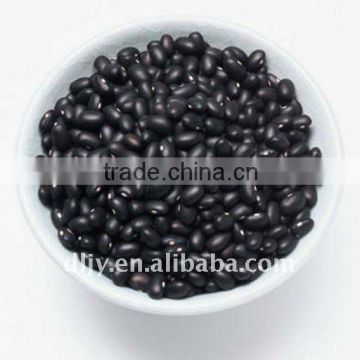 bean product