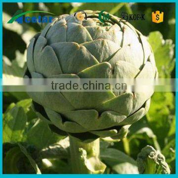 2015 best product artichoke hearts extract powder food suplment.