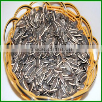Sale Chinese Raw or Roasted High Quality and Inexpensive Sunflower Seeds in Shell