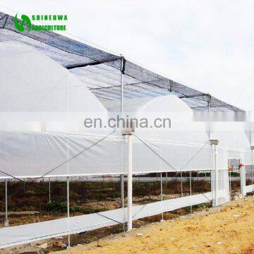 Commercial Multi Span ETFE Film Greenhouse For Sale