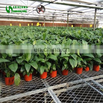 High Efficient Thailand Orchid Nursery With Easy Operate