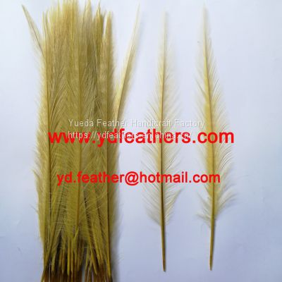 Burnt Ringneck Pheasant Tail Feather Dyed Yellow from China
