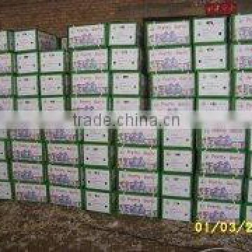 garlic in carton crop 2011