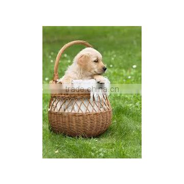 wicker basket wholesaler willow pet basket