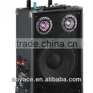 portanble karaoke 10"speaker with usb/sd