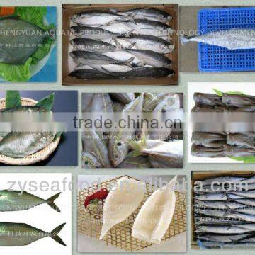 exported to Japan, mackerel