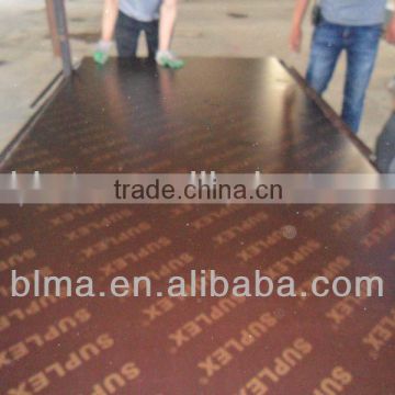 15 mm &18mm high quality construction plywood (film-faced plywood)