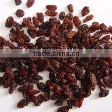 Chinese Sultana raisin -Hot sale