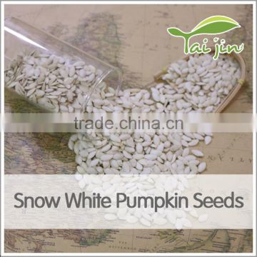 wholesale snow white pumpkin seed for human consumption