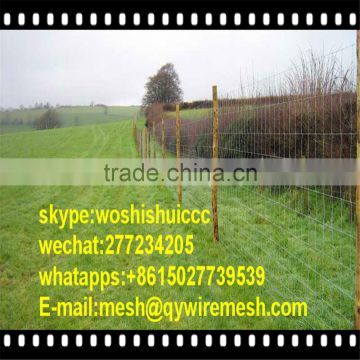 High Jonit Deer Fence,Farm Field Fence (SGS Certification)