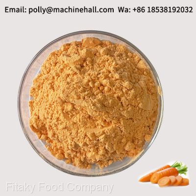 100% Pure Carrot Powder Wholesale Price 100-120 Mesh