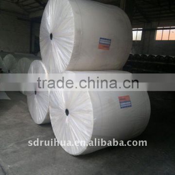 China Ruihua polyester mat used to be sbs/app