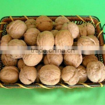 supplying 2012 fresh dried walnut of China