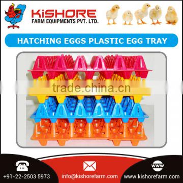 Firm Plastic Egg Tray for Bulk Sale by Prominent Dealer of the Market