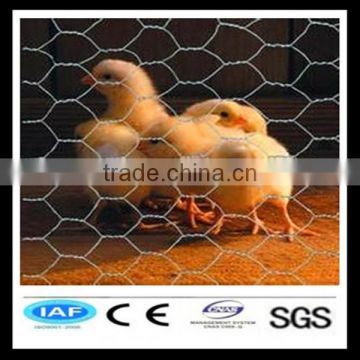 Competitive and reliable 3/4 galvanized chicken wire netting