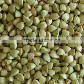 buckwheat