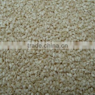 Sell of all kind of Sesame seeds
