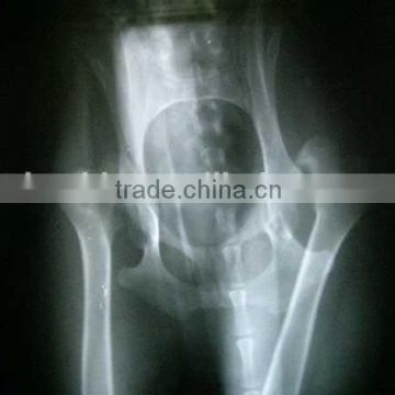 medical x-ray film of alibaba+cina, medical x-ray film agfa of alibaba supplier