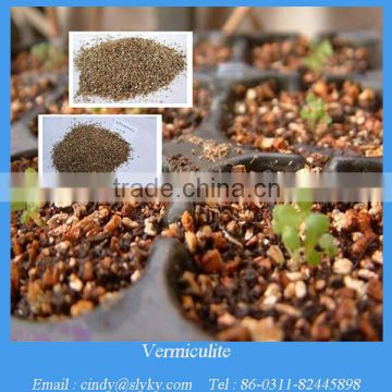 China horticulture expanded vermiculite