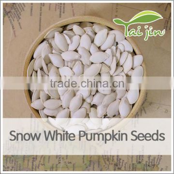 cheap price snow white pumpkin seed export