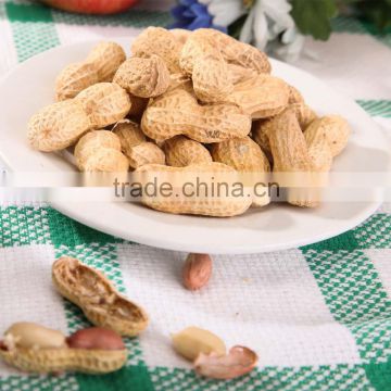 fried salted coated peanut from China