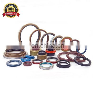 TC TB DC Double Lip Oil Seal Spring Skeleton Oil Seal For Motorcycle