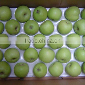 fresh green apple(early crop)