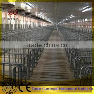 pipe for pig gestation stall/sow farrowing pens fatten cage for sale