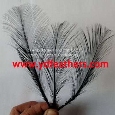 Burnt Goose Nageoires Feather Dyed Black 6\