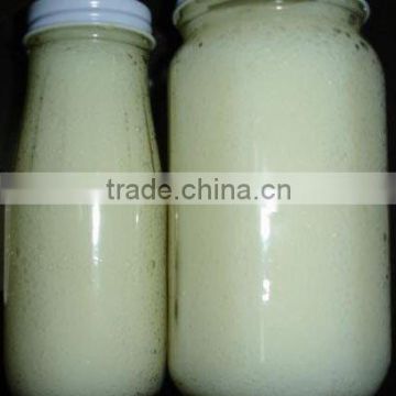 Garlic Paste/Spread Seller