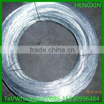 galvanized Iron Wire Netting