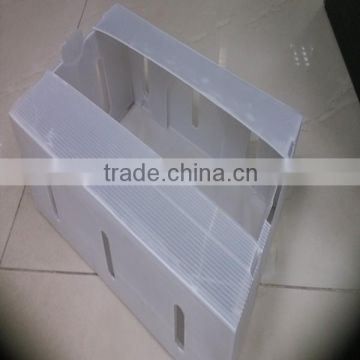Transparent corflute plastic packing box for fruit and vegetable